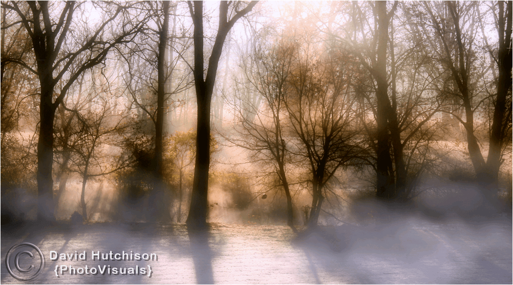 Fine Art Photograph Of Mist Rising From Creek For Sale