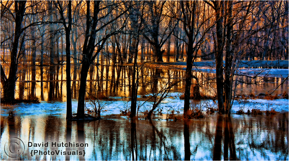 Fine Art Photograph Of A Creek Overflowing For Sale